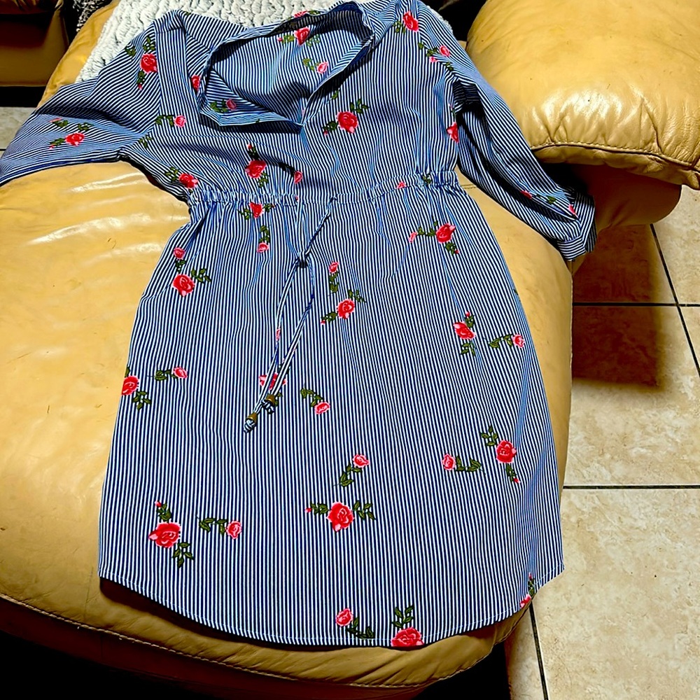 It’s a blush dress pin striped with roses